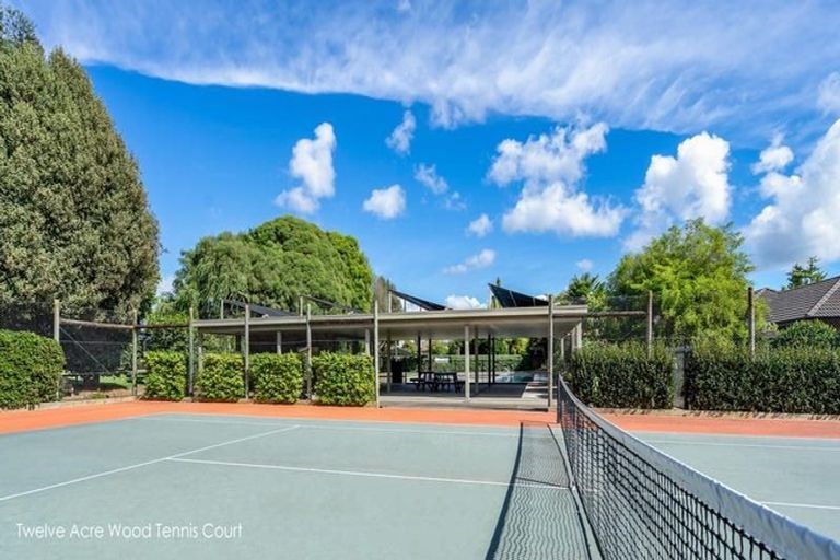 Photo of property in 41 Contour Avenue, Pyes Pa, Tauranga, 3112