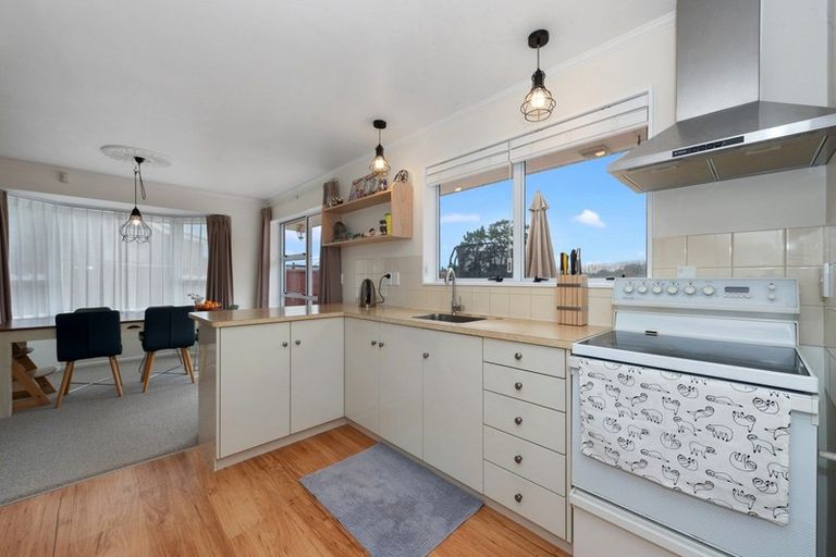 Photo of property in 11 Mckain Place, Fitzroy, Hamilton, 3206