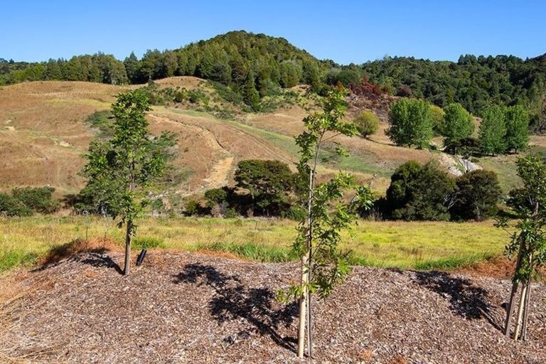 Photo of property in 88 Waere Valley Lane, Warkworth, 0981