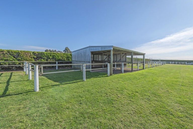 Photo of property in 1426 Wards Road, Charing Cross, Darfield, 7671