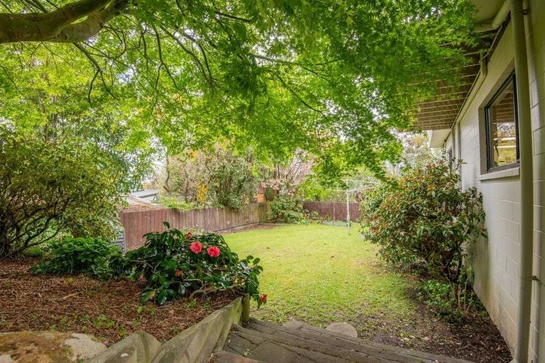 Photo of property in 6a Hart Street, Belleknowes, Dunedin, 9011