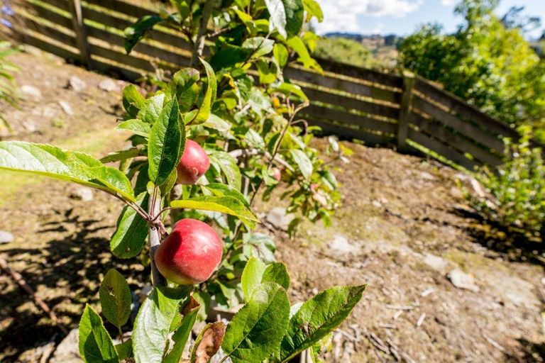 Photo of property in 27 Prosser Street, Green Island, Dunedin, 9018