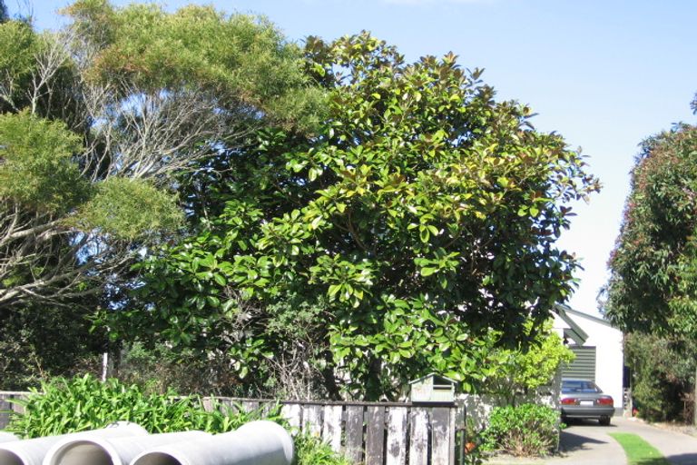 Photo of property in 161 Karewa Parade, Papamoa Beach, Papamoa, 3118