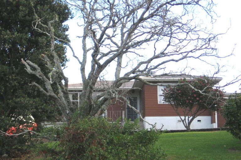 Photo of property in 41 Parrs Cross Road, Henderson, Auckland, 0612