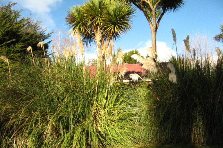 Photo of property in 1 Killarney Street, Waitati, 9085