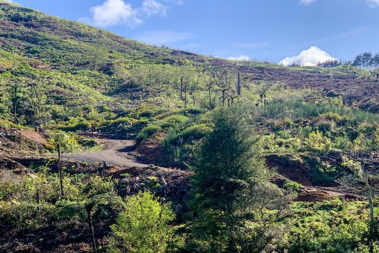 Photo of property in 118 Reservoir Road, Waihi, 3610