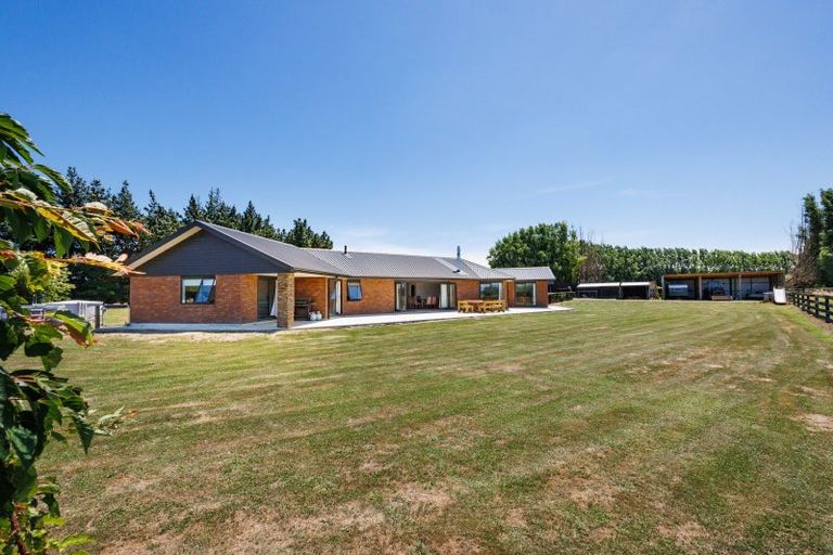 Photo of property in 269 Hoihere Road, Tiakitahuna, Palmerston North, 4477