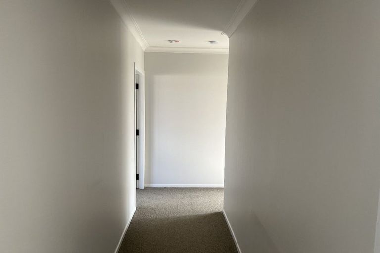 Photo of property in 12 Cardiff Street, Levin, 5510