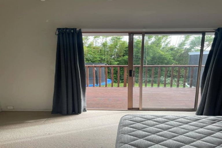 Photo of property in 50a Sunnyside Road, Sunnyvale, Auckland, 0612