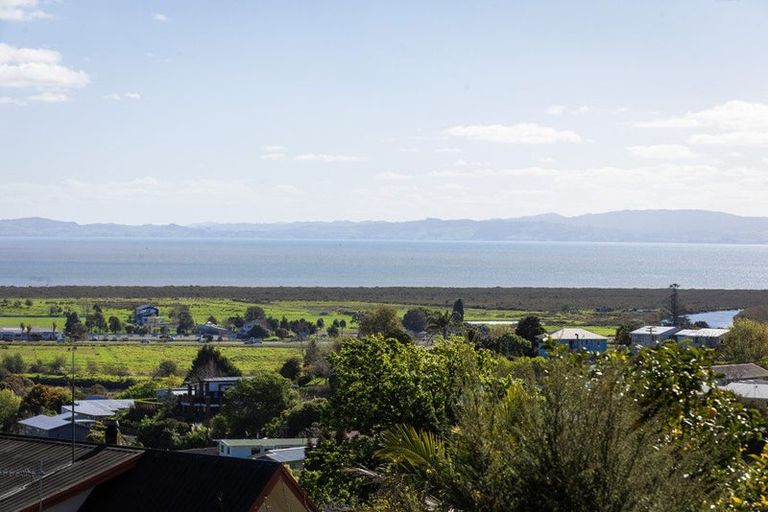 Photo of property in 224 Reservoir Road, Thames, 3500