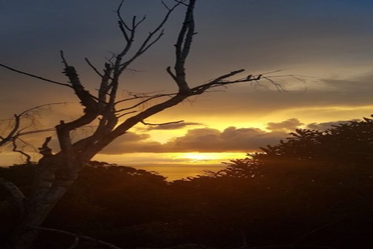 Photo of property in 8 Adams Road, Manurewa, Auckland, 2102