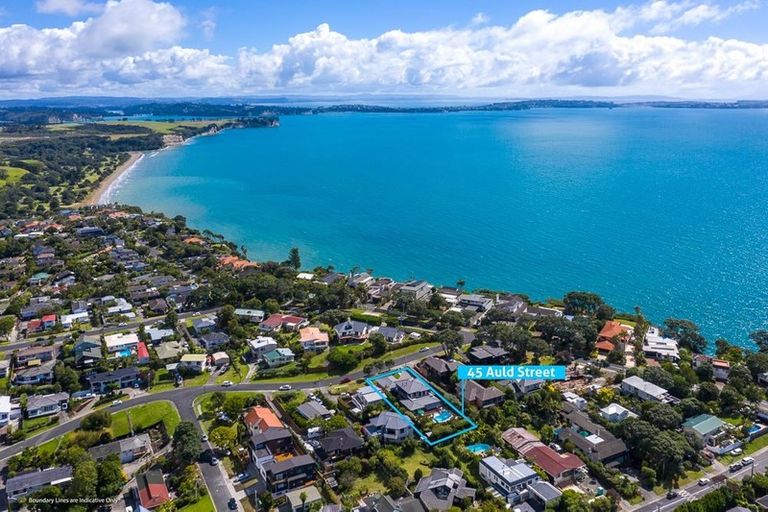 Photo of property in 45 Auld Street, Torbay, Auckland, 0630