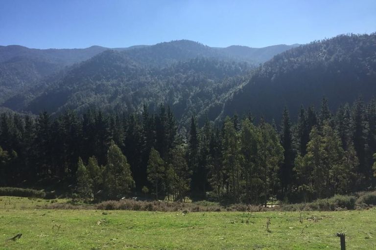 Photo of property in 385 Glentui Bush Road, Glentui, Oxford, 7495