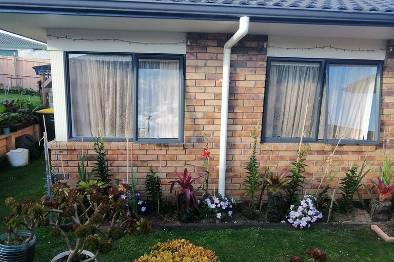 Photo of property in 33 Bellville Drive, Clendon Park, Auckland, 2103