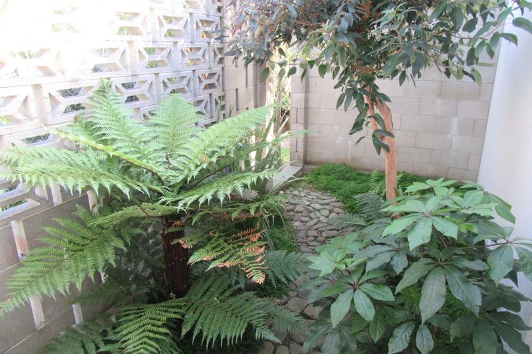 Photo of property in 17a Churchill Place, Waimate, 7924