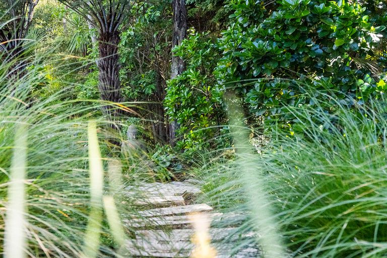 Photo of property in 71 Schollum Road, Big Omaha, Warkworth, 0985