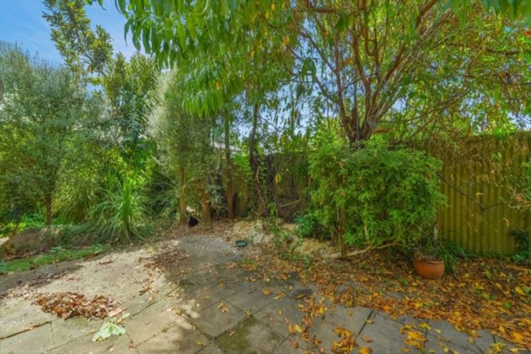 Photo of property in 91c Galloway Street, Hamilton East, Hamilton, 3216