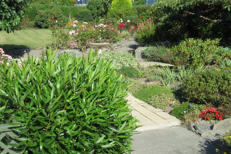 Photo of property in 17a Churchill Place, Waimate, 7924