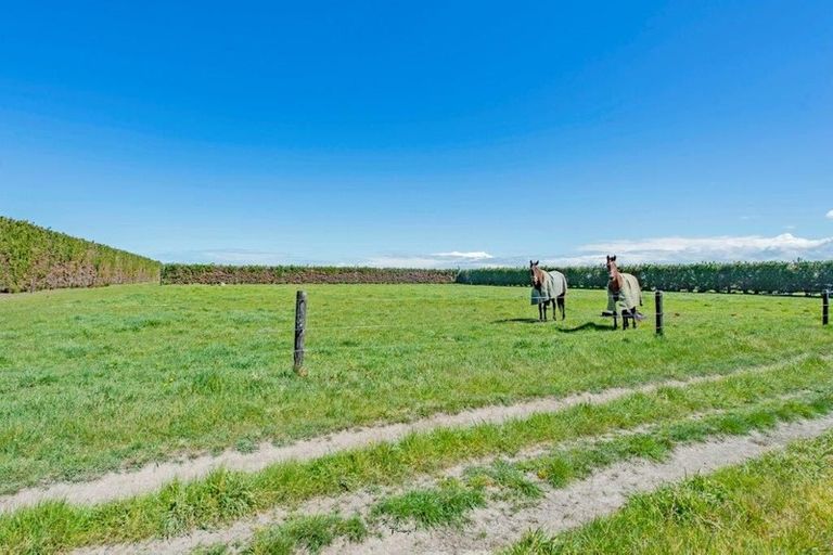 Photo of property in 181 Andersons Road, Leeston, 7682