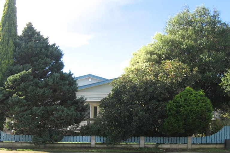 Photo of property in 911 Fitzroy Avenue, Mahora, Hastings, 4120