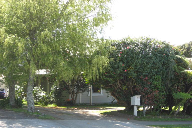 Photo of property in 137 Lemon Street, Strandon, New Plymouth, 4312