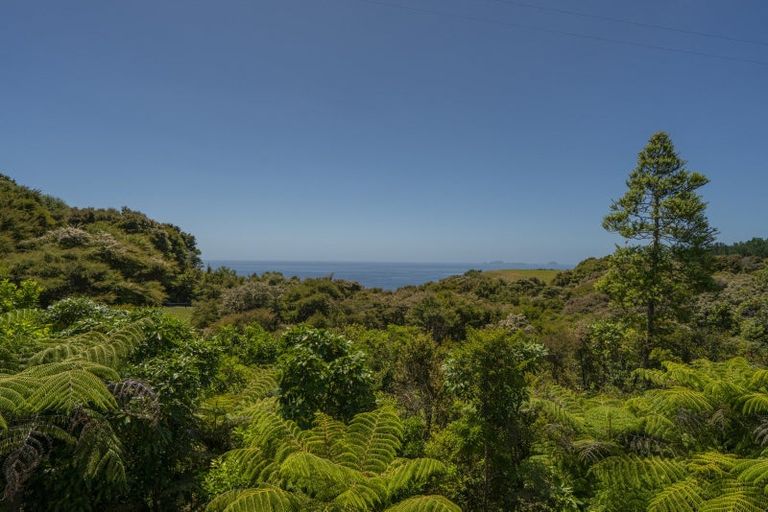Photo of property in 595 Boat Harbour Road, Whenuakite, Whitianga, 3591