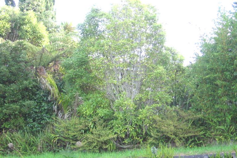 Photo of property in 43 Parrs Cross Road, Henderson, Auckland, 0612