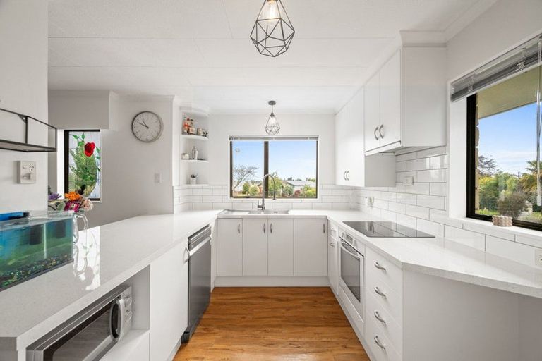 Photo of property in 8 Avery Place, Witherlea, Blenheim, 7201