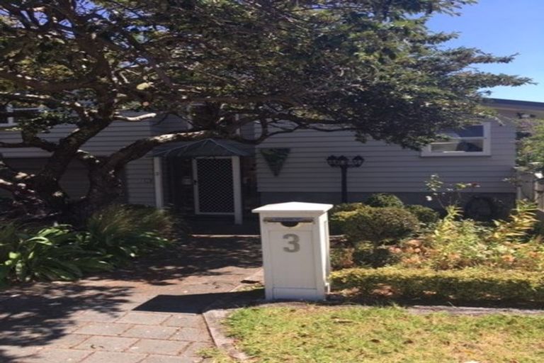 Photo of property in 3 Douglas Street, Paraparaumu Beach, Paraparaumu, 5032