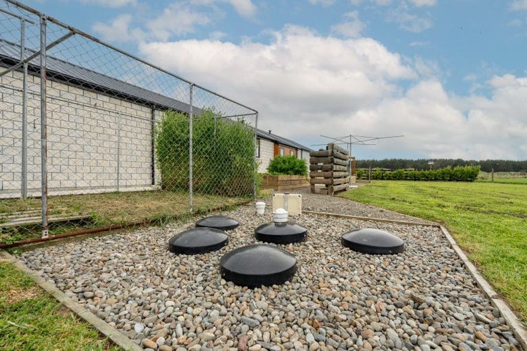 Photo of property in 19 Carex Grove, Foxton Beach, Foxton, 4815