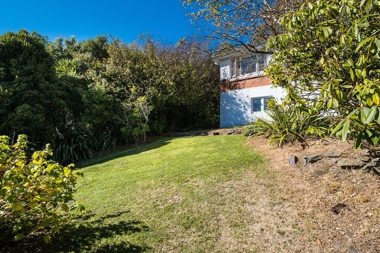 Photo of property in 119 Signal Hill Road, Opoho, Dunedin, 9010