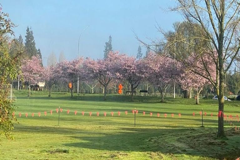 Photo of property in 12b Flynn Road, Hillcrest, Hamilton, 3216