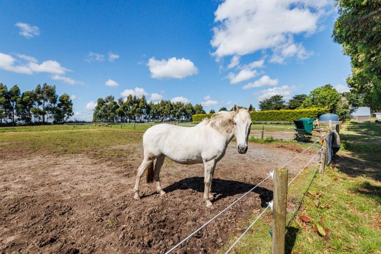 Photo of property in 237 Ngaio Road, Halcombe, Palmerston North, 4479