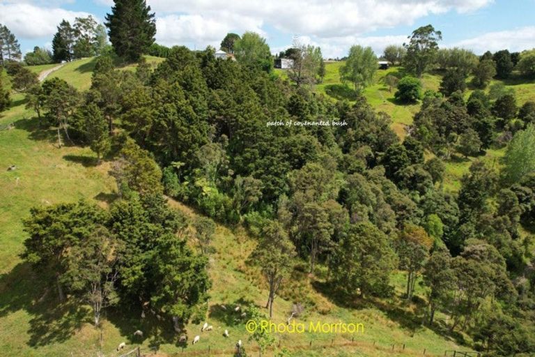 Photo of property in 318 Franklin Road, Paparoa, 0571