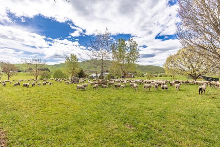 Photo of property in 425 Te Kura Road, Otane, 4277