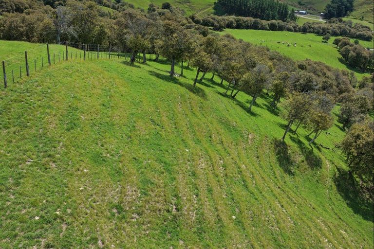 Photo of property in 455 Anaroa Road, Raukawa, Hastings, 4174