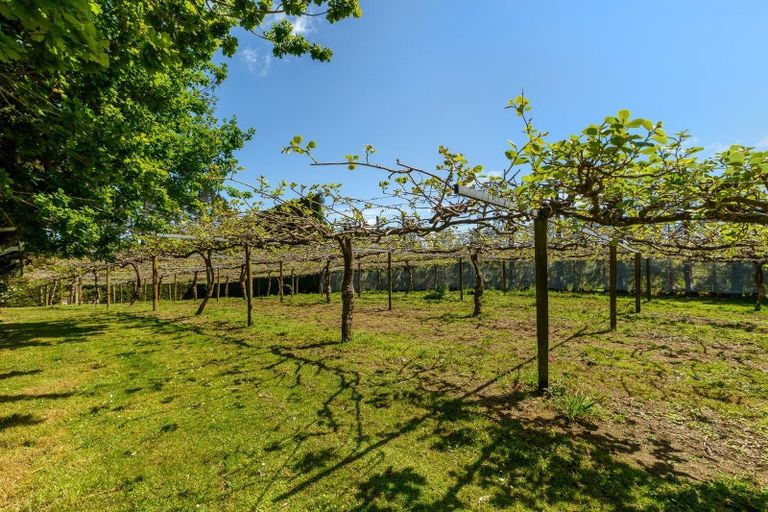 Photo of property in 566 Belk Road, Omanawa, Tauranga, 3171