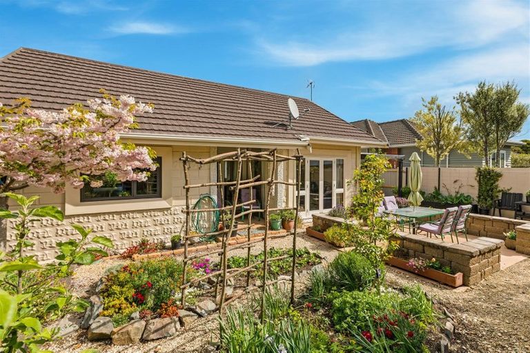 Photo of property in 53 Grange Street, Hillsborough, Christchurch, 8022