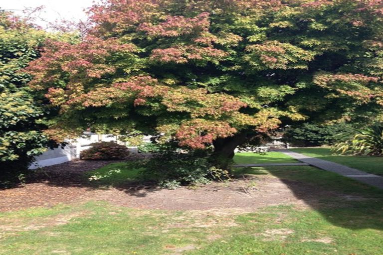 Photo of property in 105 Condell Avenue, Papanui, Christchurch, 8053