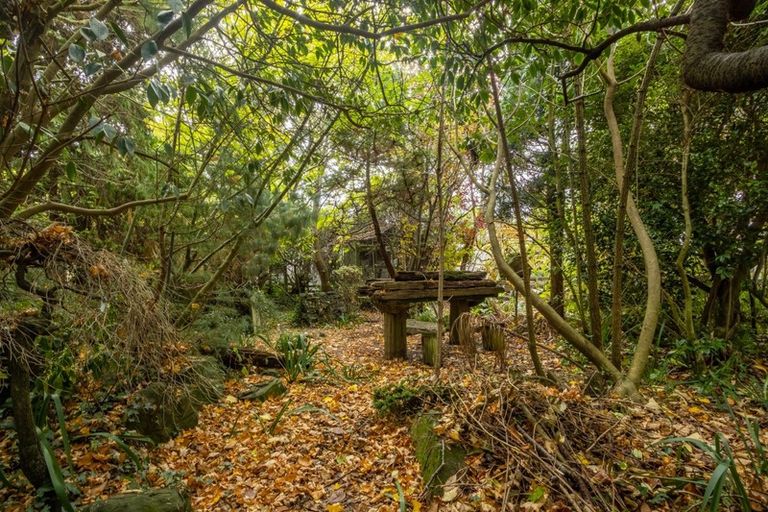 Photo of property in 62 Morton Street, Georgetown, Invercargill, 9812