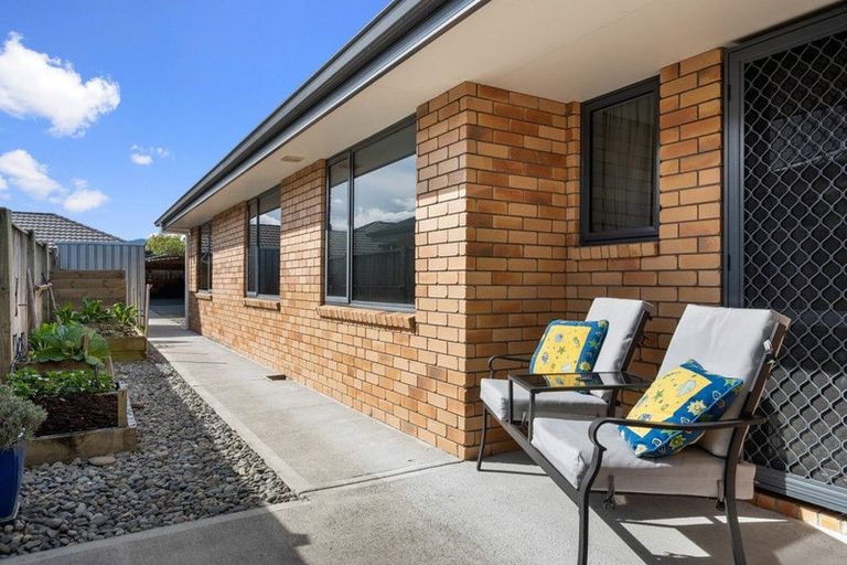 Photo of property in 14 Wilson Street, Renwick, 7204