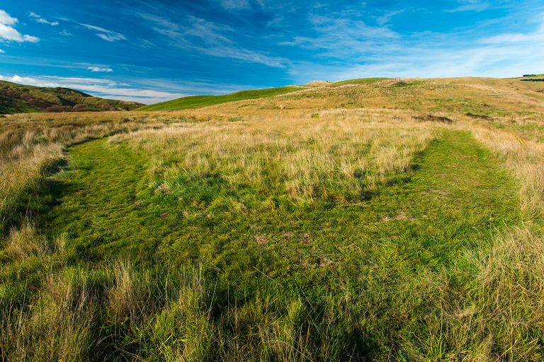 Photo of property in 276 Gaddums Hill Road, Outer Kaiti, Gisborne, 4010