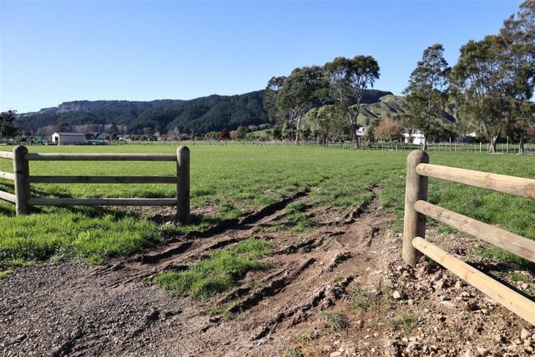 Photo of property in 425 Tararua Road, Levin, 5571
