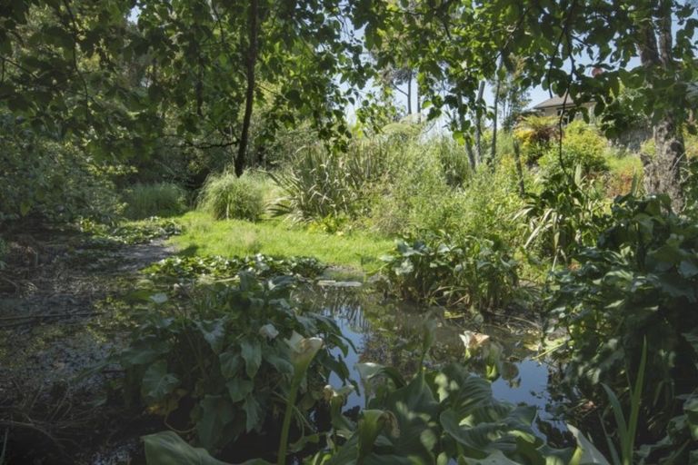 Photo of property in 109a Park Road, Katikati, 3129