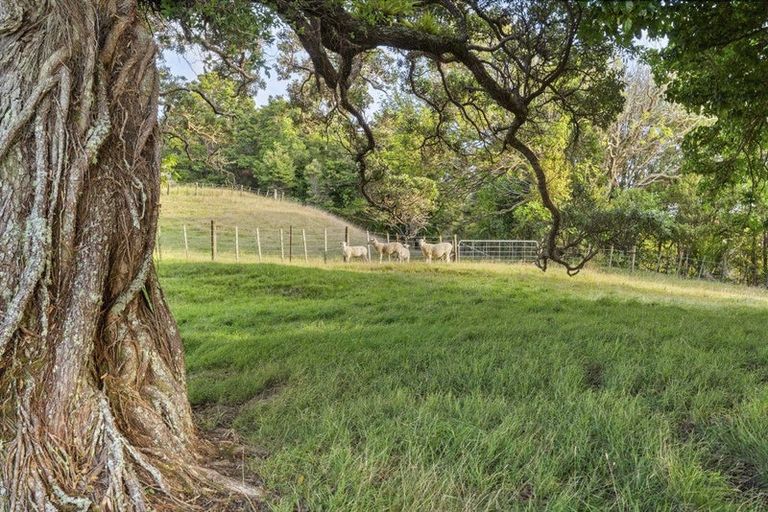 Photo of property in 987 Hibiscus Coast Highway, Waiwera, Orewa, 0994