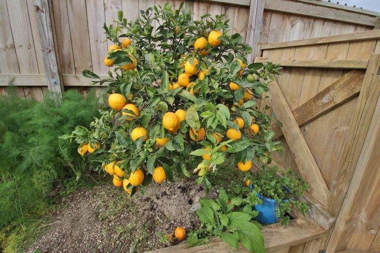 Photo of property in 2 Halyard Loop, Haruru, 0204