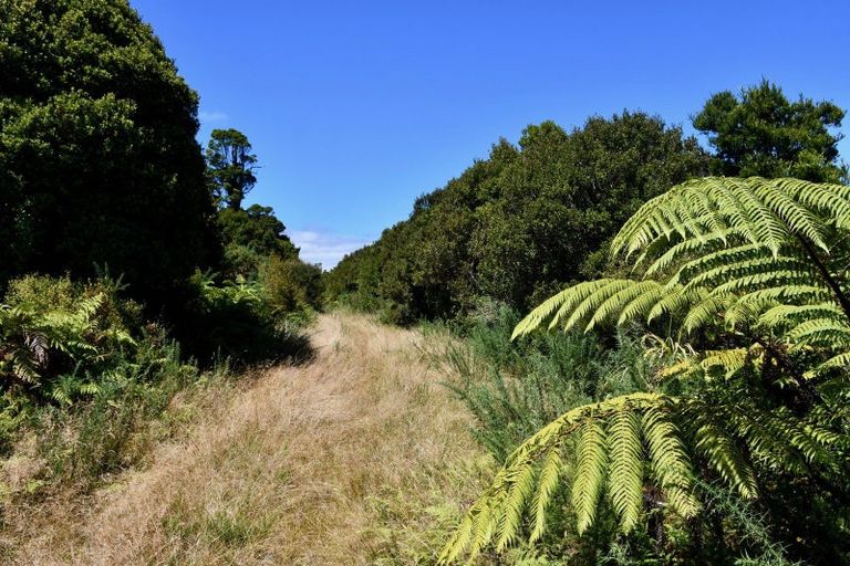 Photo of property in 37 South Terrace Road, Karamea, 7893