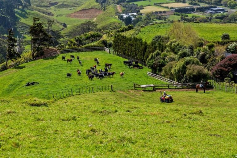 Photo of property in 171 Wairau Road, Kaitake, New Plymouth, 4374