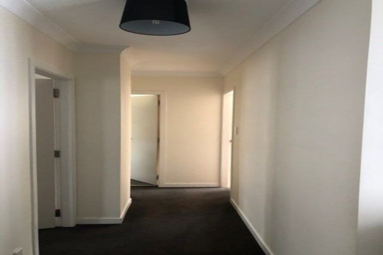 Photo of property in 46 Cook Street, Gate Pa, Tauranga, 3112