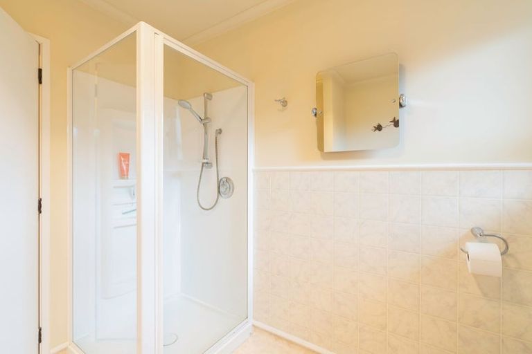 Photo of property in 25 Marlborough Street, Levin, 5510